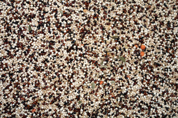 Mixed quinoa cropped, close up