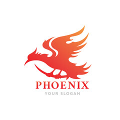 Fire bird phoenix logo design