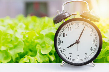 Time to eat vegetable and healthy food concept - retro alarm clock with green salad background.