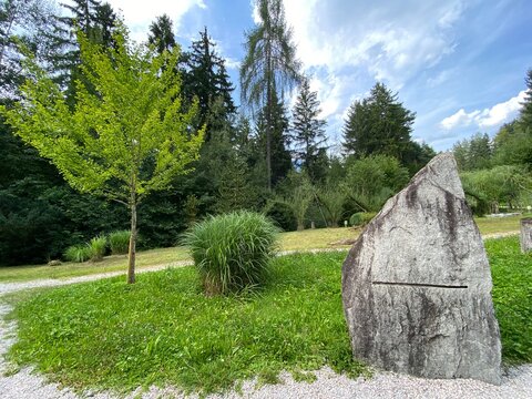 Schwaz Unteres Inntal Tirol &Ouml;sterreich - Silberwald Heilwald