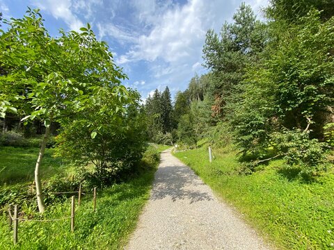 Schwaz Unteres Inntal Tirol &Ouml;sterreich - Silberwald Heilwald