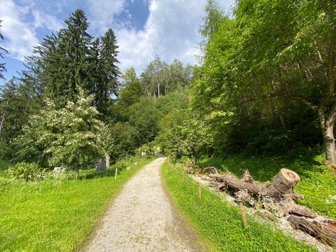 Schwaz Unteres Inntal Tirol &Ouml;sterreich - Silberwald Heilwald