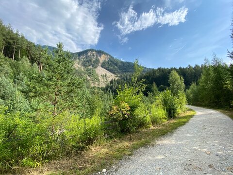 Schwaz Unteres Inntal Tirol &Ouml;sterreich - Silberwald Heilwald