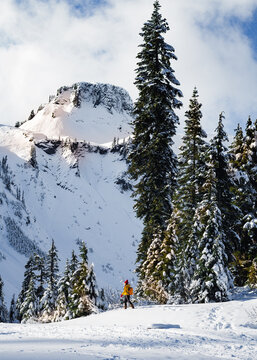 Hiker In Snow At Mount Baker Snoqualmie National Forest, Washington