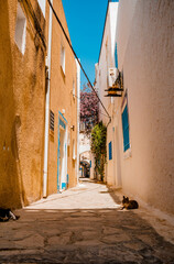 narrow street in the city
