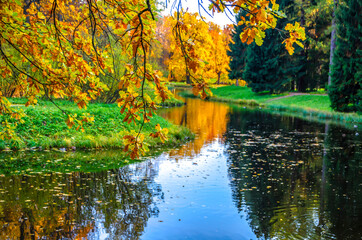 Alexander park in autumn, Pushkin (Tsarskoe Selo), St. Petersburg, Russia