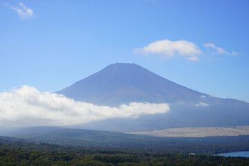 Fototapeta premium Autumn view with Japanese Pampas Grass or Susuk over Mt. Fuji in Yamanashi, Japan - 日本 山梨県 秋の景色 富士山 山中湖
