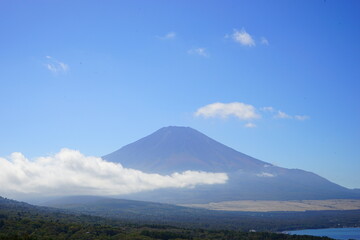 Autumn view with Japanese Pampas Grass or Susuk over Mt. Fuji in Yamanashi, Japan - 日本 山梨県 秋の景色 富士山 山中湖