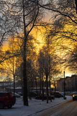 Fototapeta premium sunset in the city