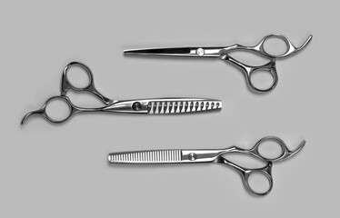Professional Haircutting Scissors.