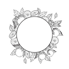 Obraz premium Fruit round frame illustration with black line