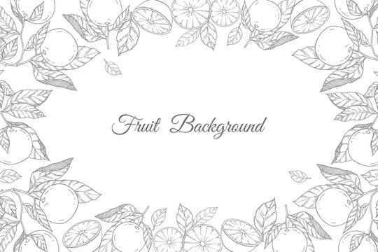 Fruit background with linear vector illustration