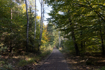 Im Wald, der Natur, zur Freude am Farben, Pflanzen, Bäumen und Jahreszeiten.
In the forest, in nature, to enjoy colors, plants, trees and the seasons