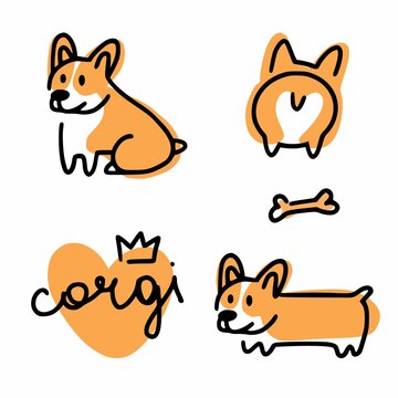 Collection of Corgi dogs