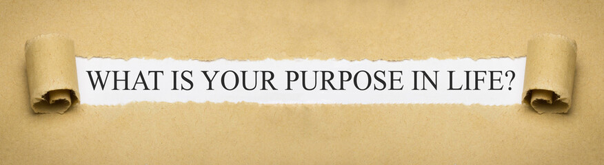 What is your purpose in life?