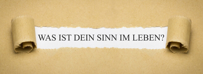 Was ist dein Sinn im Leben?
