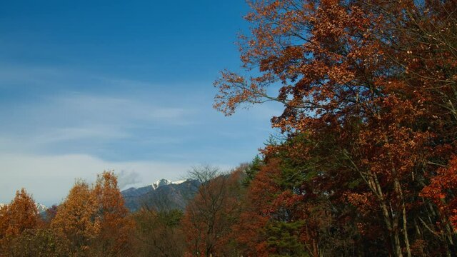 遠くに後立山連峰を臨む秋の長野県大町市