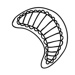 Cute Christmas gingerbread isolated on white background. Doodle style. Christmas Gingerbread.