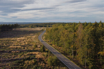 Car driving on road in forest, aerial view