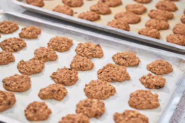 Pile of oatmeal cookies fresh out of the oven. Healthy dessert.
