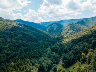 aerial view of forest in carpathian mountains
