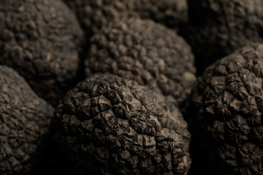 Closeup view of fresh whole black truffles