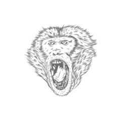 Obraz premium Head Monkey With Handdrawn Style Monocolor