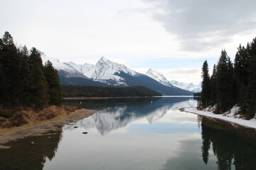 Cold River, Jasper National Park, Alberta