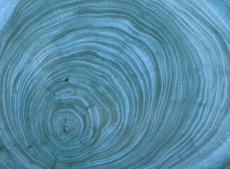 blue Cross section of tree trunk showing growth rings