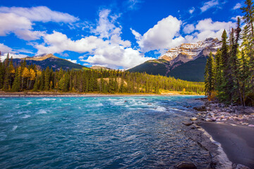 The rugged Athabasca Falls
