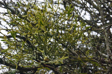 Autumn and the beauty of nature