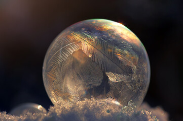 Winter bubble - obrazy, fototapety, plakaty