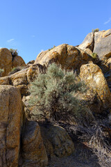 Fototapeta na wymiar Rocky weathered granite rocks and spires of The Alabama Hills in the Eastern Sierra Nevada Mountains of California