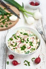 cottage tofu cheese with radish and chive