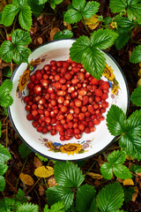 wild strawberries in a bowl