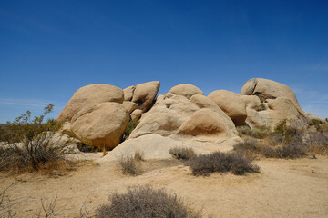 Joshua trees and Gneiss Rocks in and around Joshua Tree national park bordering the Colorado and...