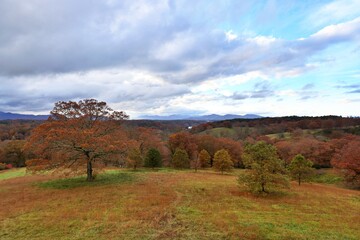 Falls Season Panorama