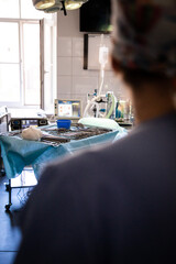 operation, operating room, doctor, surgeon, surgical operation,
