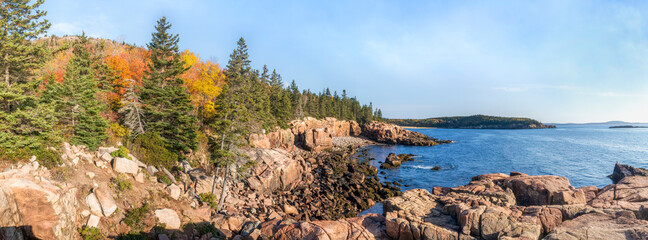 Colorful fall leaves decorate the rocky Atlantic coast of Acadia National Park on Mt. Desert Island in Down East Maine in the New England region of the United States. - obrazy, fototapety, plakaty