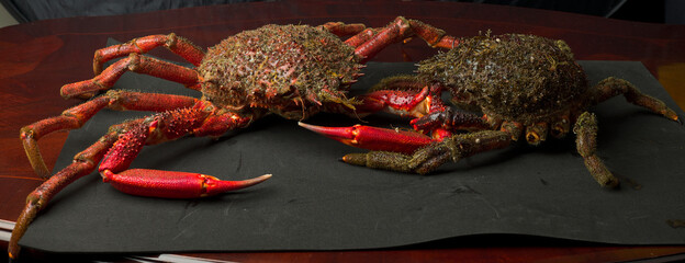 Crab of Galicia. This region of Spain is one of the first seafood producers in the world