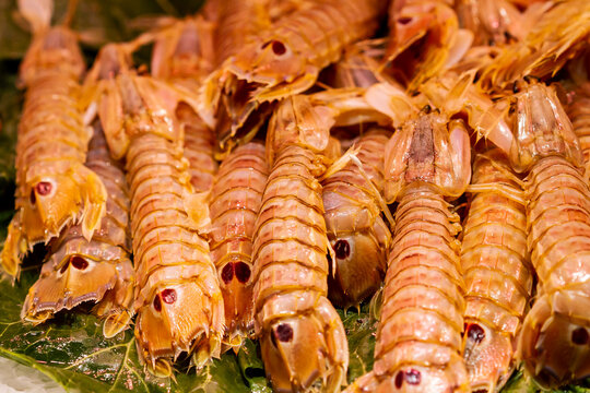 Fishmonger's store, fresh galley on ice (Squilla mantis), selective approach.
