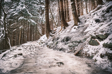 New Year's hike to the highest mountain of the Czech Republic - Sněžka