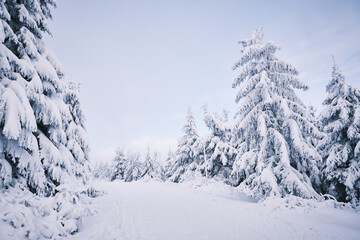 Snowy Eagle Mountains in the Czech Republic