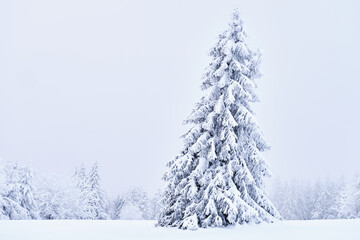 Snowy Eagle Mountains in the Czech Republic