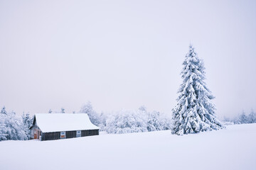 Snowy Eagle Mountains in the Czech Republic