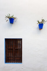 Flower pots on the wall in Cordoba