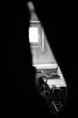 bike in the cellar