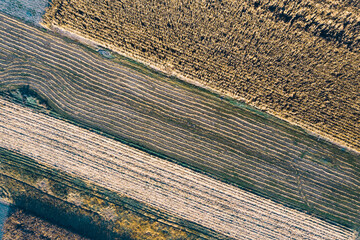 Agricultural parcels of different crops. Aerial view shoot from drone directly above field