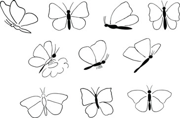 Set of butterflies in doodle style. Hand drawn black and white vector illustration