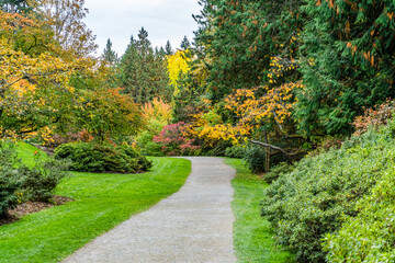 Fototapeta na wymiar Washington Park Arboretum Autumn Path 11